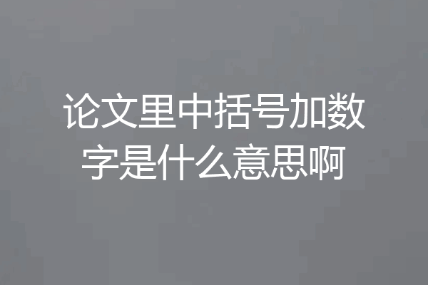 论文里中括号加数字是什么意思啊
