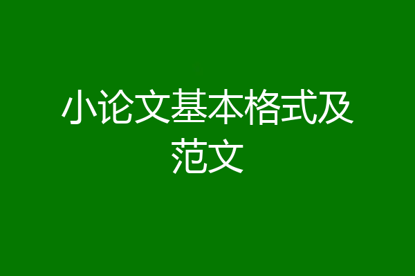 小论文基本格式及范文