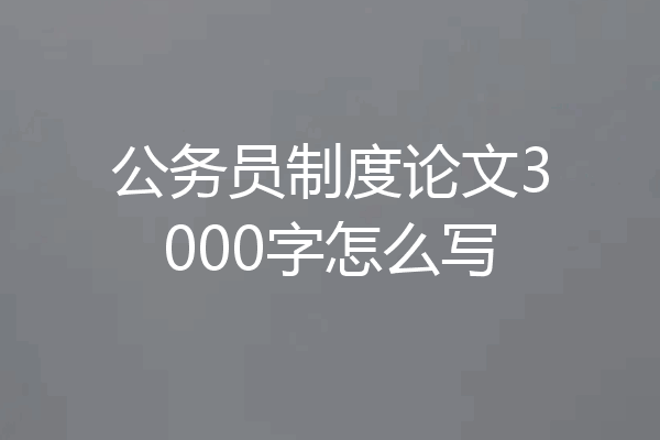 公务员制度论文3000字怎么写
