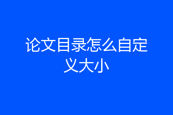 论文目录怎么自定义大小