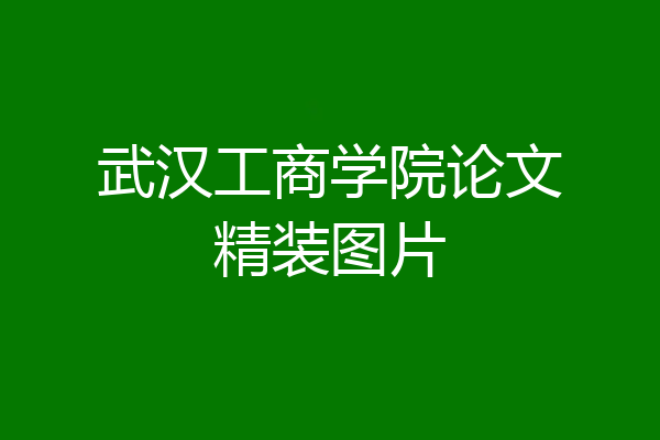 武汉工商学院论文精装图片