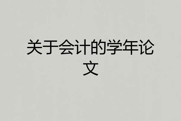 关于会计的学年论文