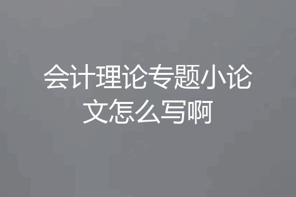 会计理论专题小论文怎么写啊