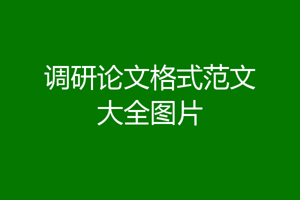 调研论文格式范文大全图片