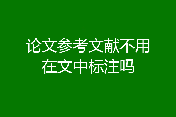 论文参考文献不用在文中标注吗