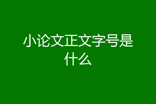 小论文正文字号是什么