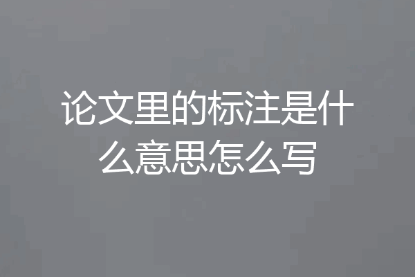 论文里的标注是什么意思怎么写