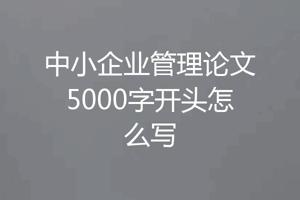 中小企业管理论文5000字开头怎么写
