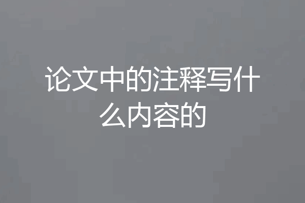 论文中的注释写什么内容的