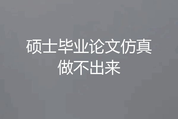 硕士毕业论文仿真做不出来