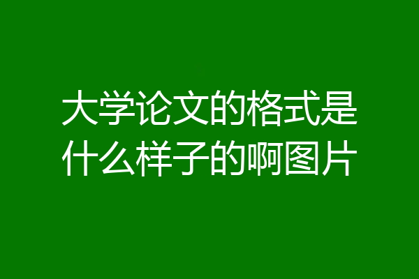 大学论文的格式是什么样子的啊图片