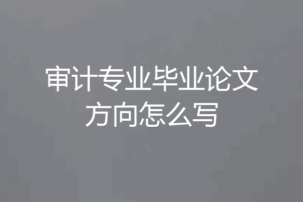 审计专业毕业论文方向怎么写