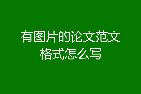 有图片的论文范文格式怎么写