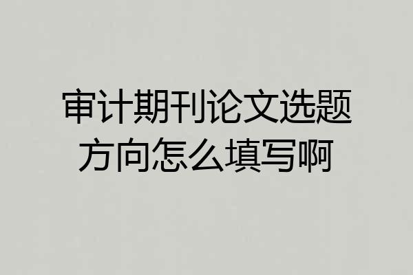 审计期刊论文选题方向怎么填写啊