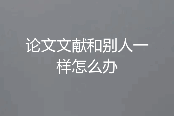 论文文献和别人一样怎么办