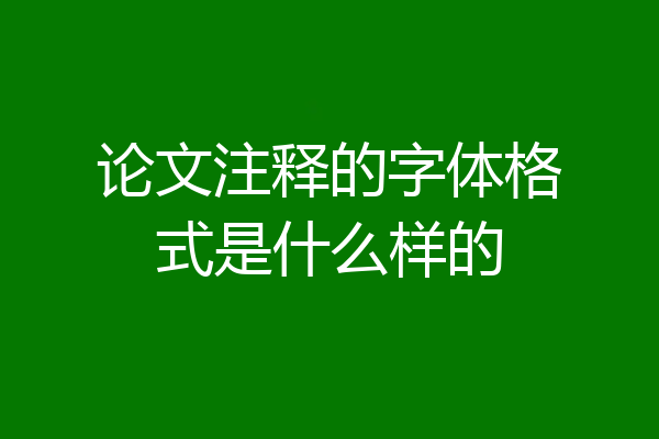 论文注释的字体格式是什么样的