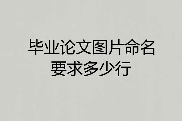 毕业论文图片命名要求多少行