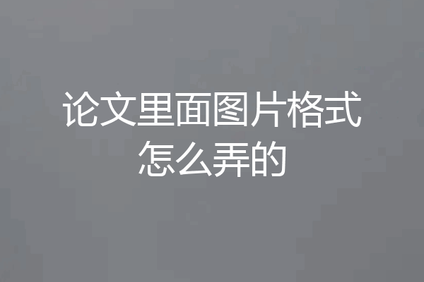 论文里面图片格式怎么弄的
