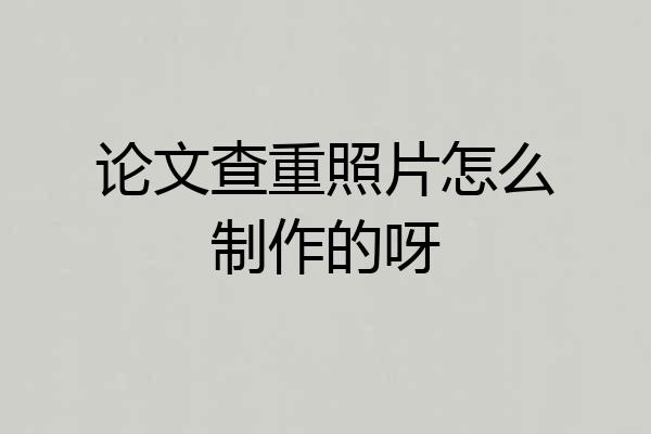 论文查重照片怎么制作的呀