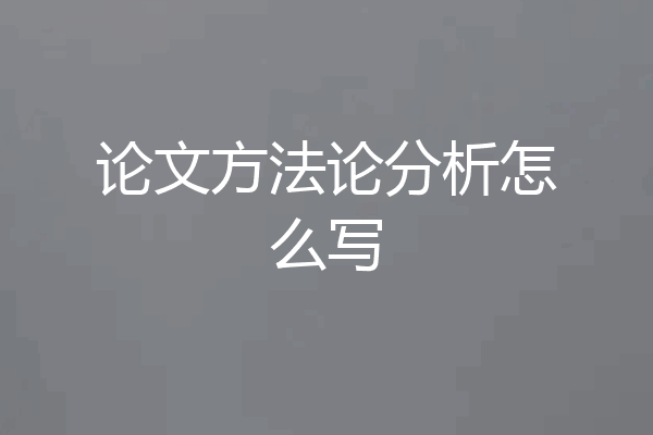 论文方法论分析怎么写