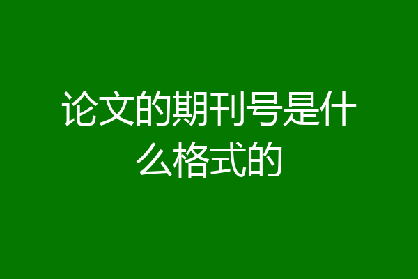 论文的期刊号是什么格式的