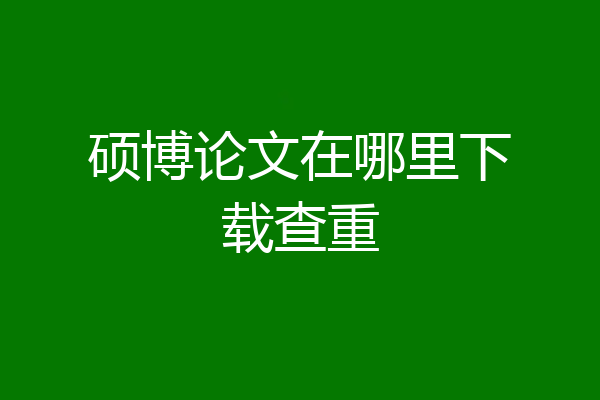 硕博论文在哪里下载查重