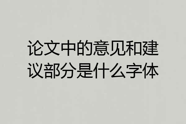 论文中的意见和建议部分是什么字体