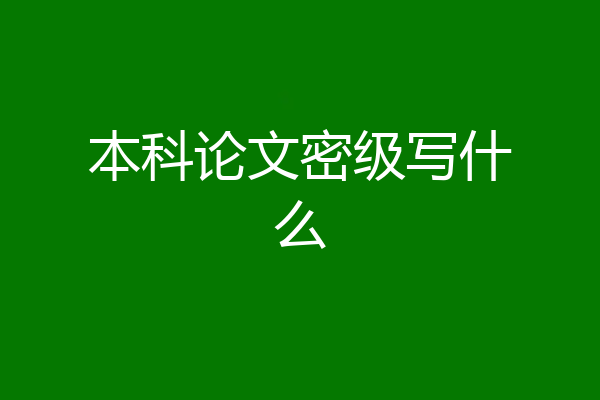 本科论文密级写什么