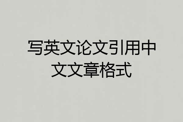 写英文论文引用中文文章格式