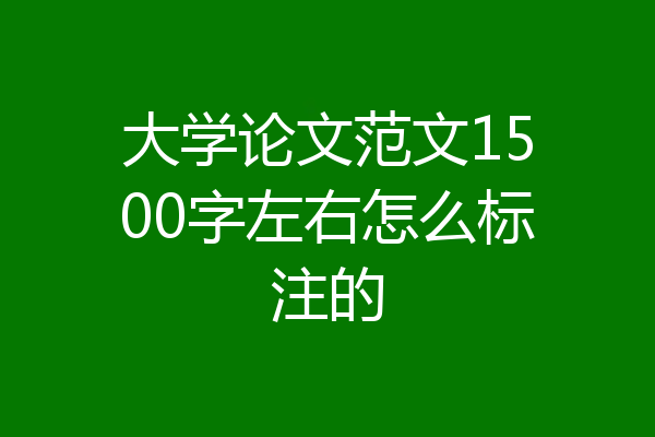 大学论文范文1500字左右怎么标注的