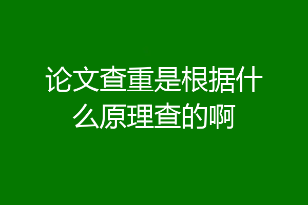 论文查重是根据什么原理查的啊