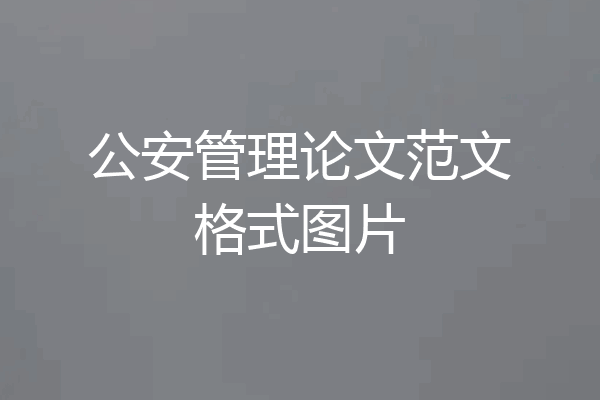 公安管理论文范文格式图片
