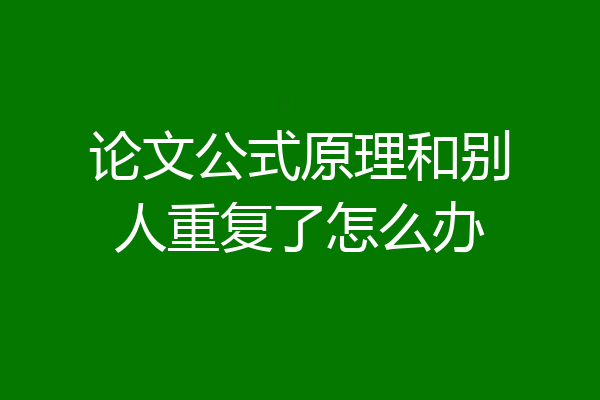 论文公式原理和别人重复了怎么办
