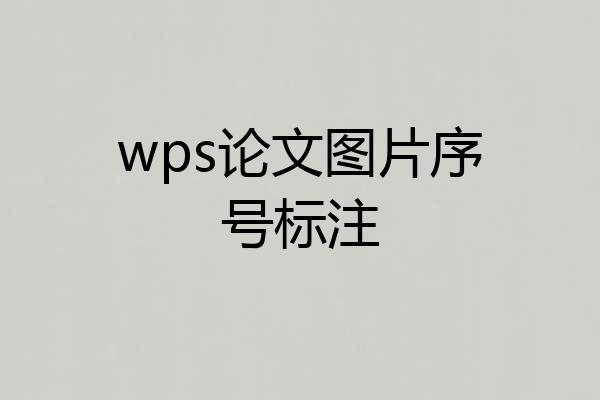 wps论文图片序号标注