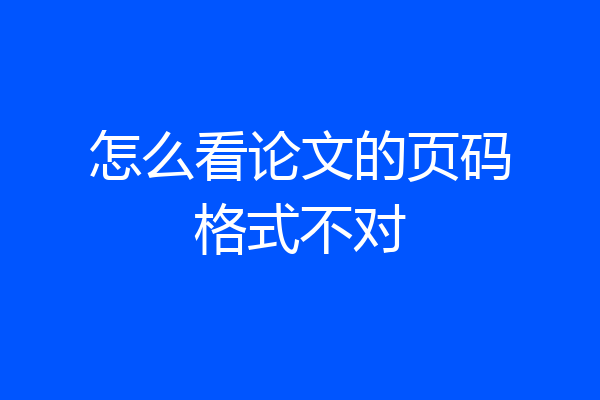 怎么看论文的页码格式不对