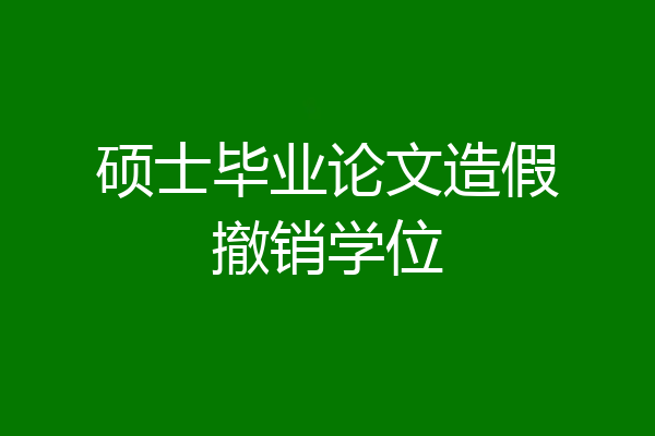 硕士毕业论文造假撤销学位