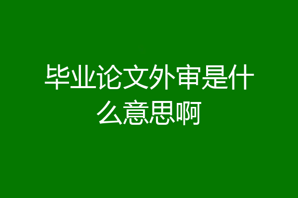 毕业论文外审是什么意思啊