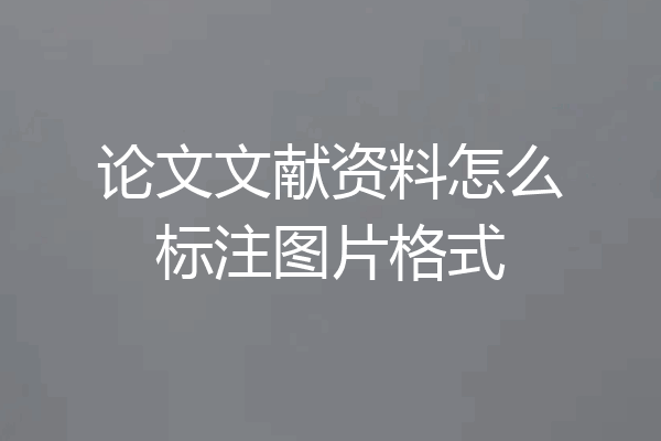 论文文献资料怎么标注图片格式