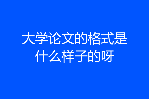大学论文的格式是什么样子的呀
