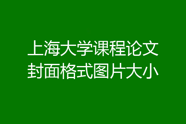 上海大学课程论文封面格式图片大小