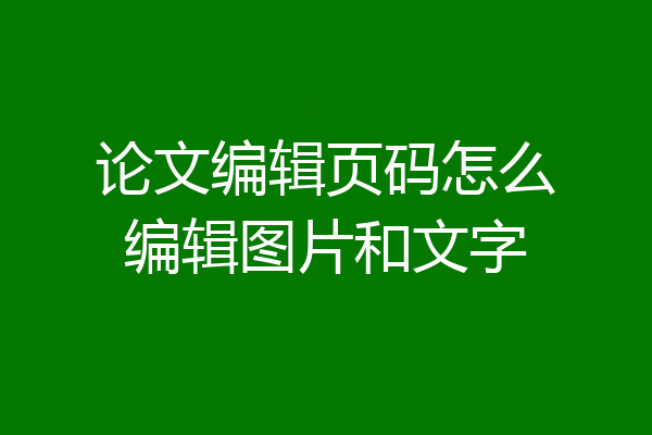 论文编辑页码怎么编辑图片和文字