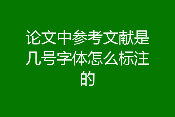 论文中参考文献是几号字体怎么标注的