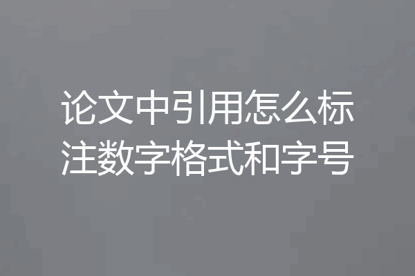 论文中引用怎么标注数字格式和字号