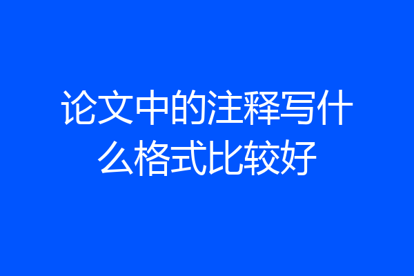 论文中的注释写什么格式比较好