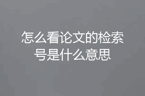怎么看论文的检索号是什么意思