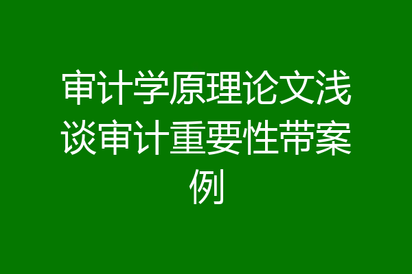 审计学原理论文浅谈审计重要性带案例