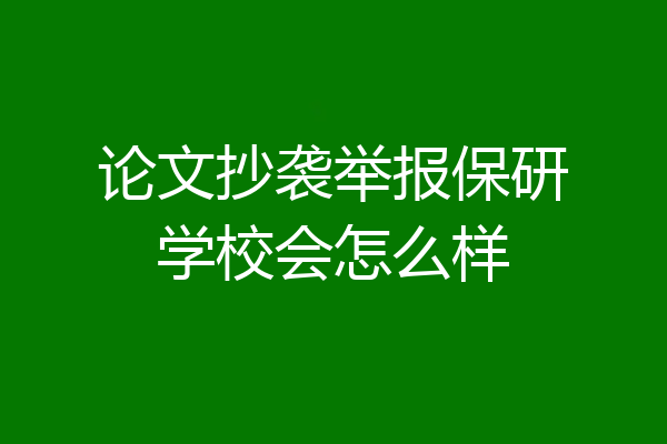 论文抄袭举报保研学校会怎么样