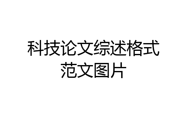 科技论文综述格式范文图片