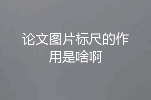 论文图片标尺的作用是啥啊
