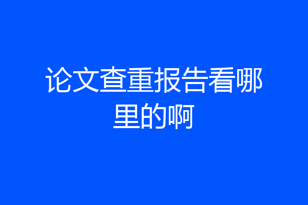 论文查重报告看哪里的啊